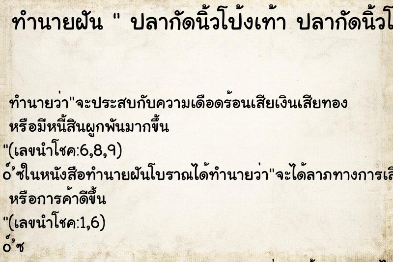 ทำนายฝัน ปลากัดนิ้วโป้งเท้า ปลากัดนิ้วโป้งเท้า ทำนายฝัน ปลากัดนิ้วโป้งเท้า ปลากัดนิ้วโป้งเท้า